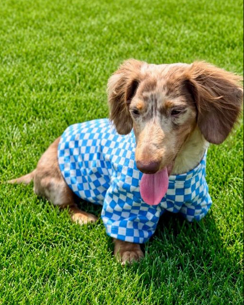 Make a Move Blue Mini Check Print Dog T-Shirt