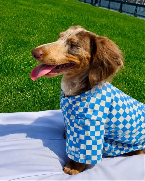 Make a Move Blue Mini Check Print Dog T-Shirt