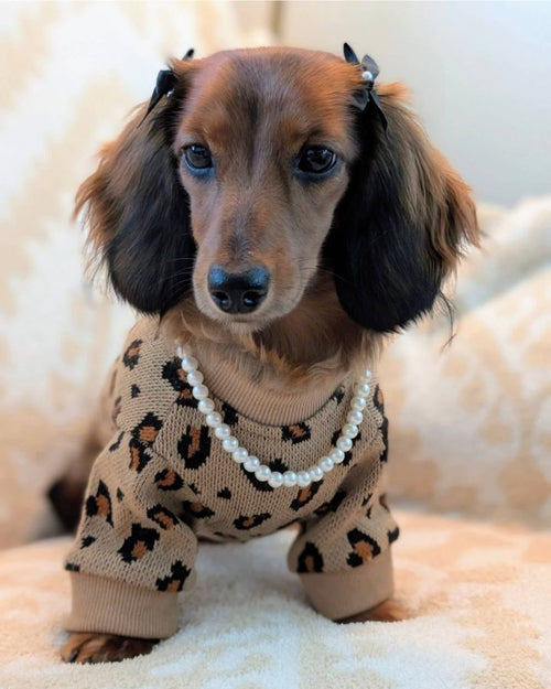 Wild Child Tan Leopard Print Dog Sweatshirt