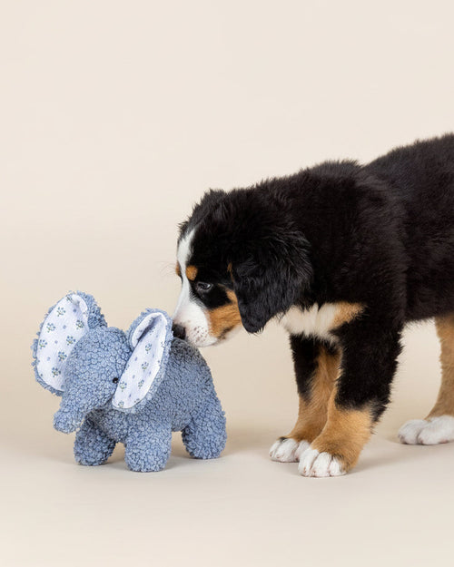 Trunk Show Blue Elephant Dog Toy