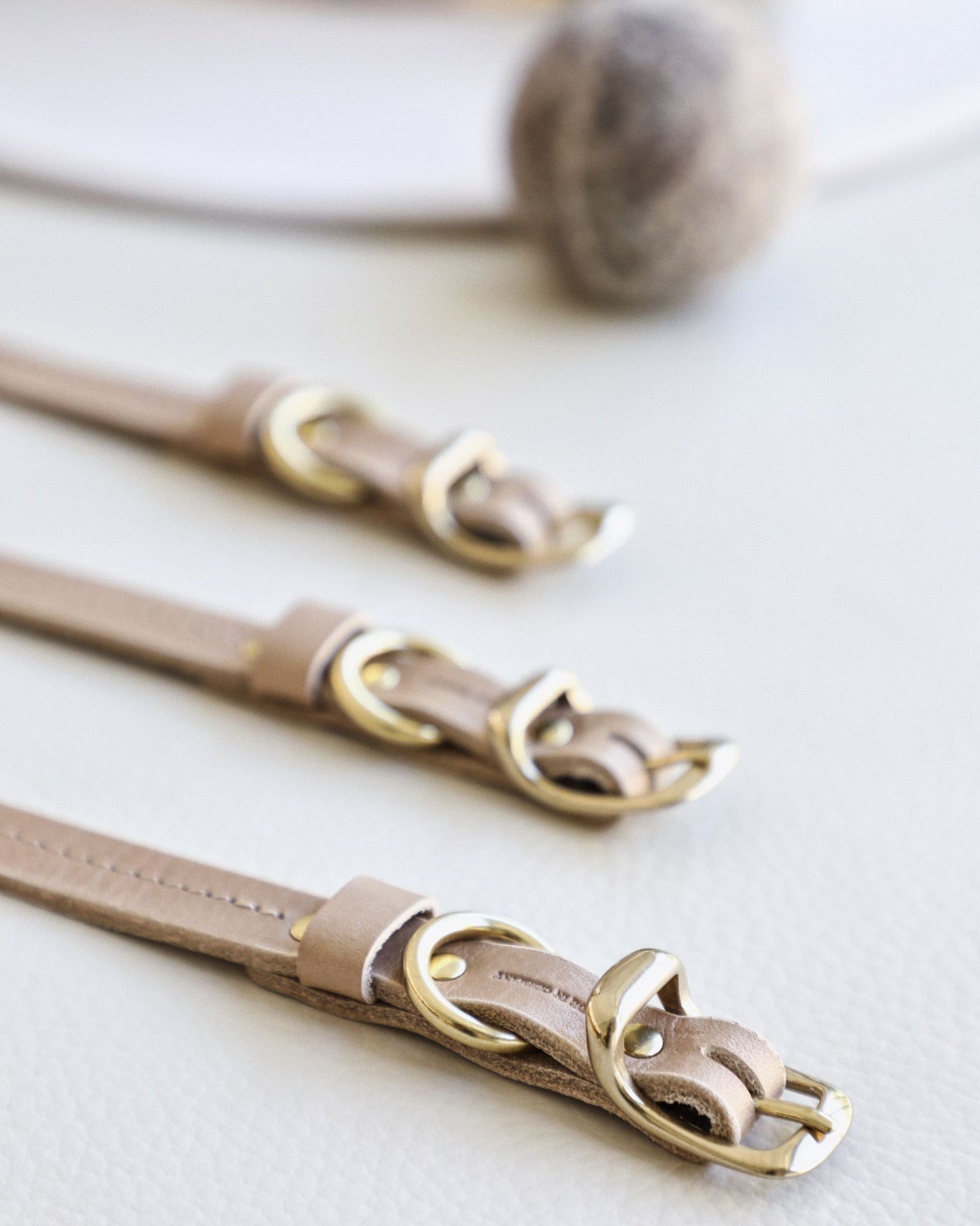 Closeup of gold buckles on taupe leather dog collar