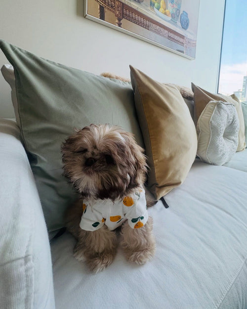Casual Cutie Lemon Dog T-Shirt