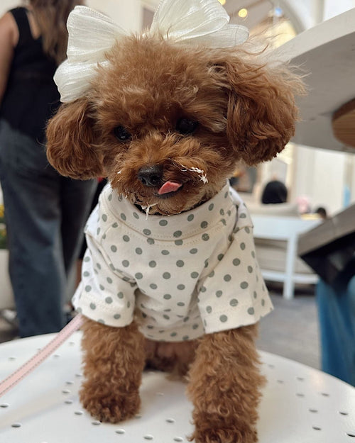 Speckled Sweetie Polka Dot Dog T-Shirt