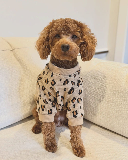 Wild Child Tan Leopard Print Dog Sweatshirt