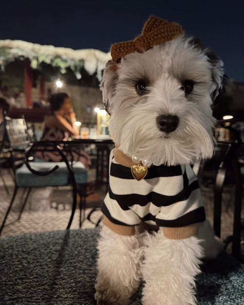 Cooper Black + White Striped Dog Sweatshirt