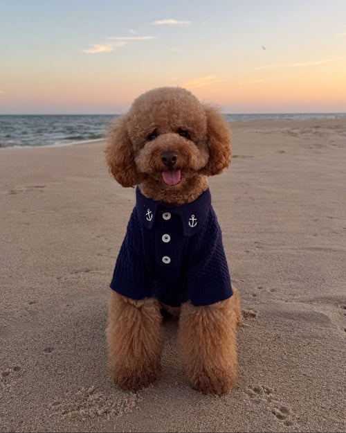 Little Skipper Navy Cable Knit Polo Sweater