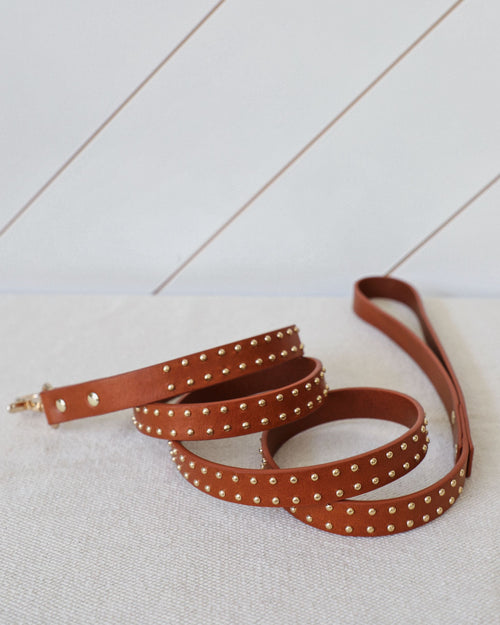 Full view of What A Stud tan leather walk kit including adjustable collar and durable leash, ideal for medium and large dogs