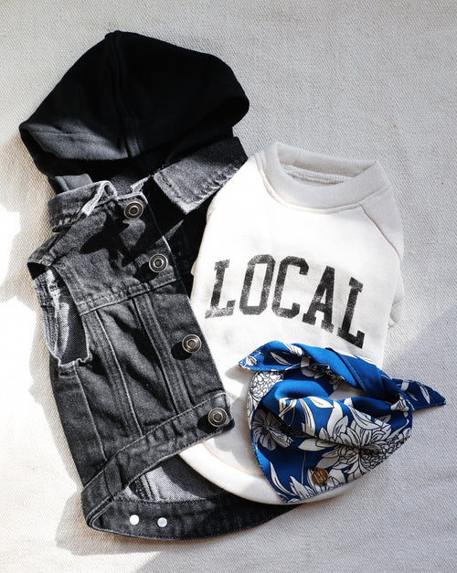 Only the Best Bandana in Blue + White Floral