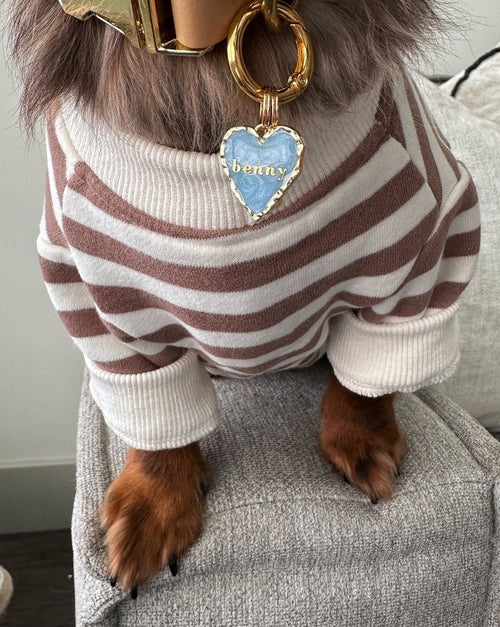 Camden Brown Striped Crewneck Product Image Detail poodle sweatshirt