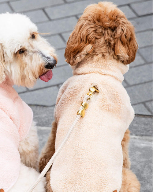 Snuggle Season Wheat Sherpa Dog Jacket