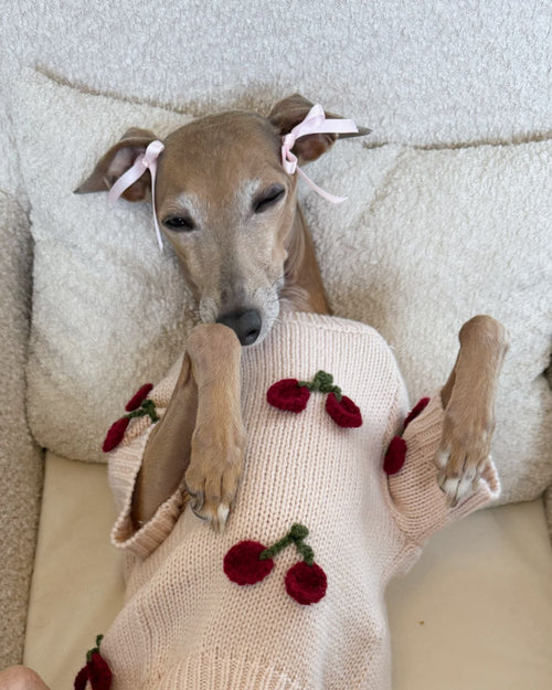 Mon Chéri Blush Cherry Dog Sweater
