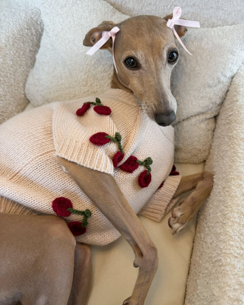 Mon Chéri Blush Cherry Dog Sweater