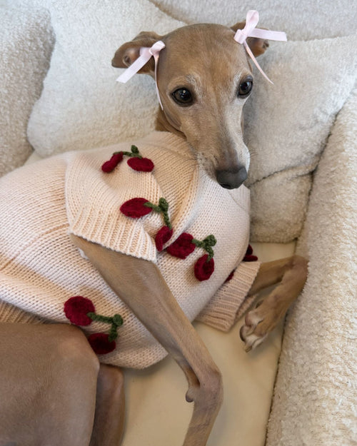 Mon Chéri Blush Cherry Dog Sweater