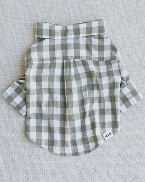 Sylvan Moss Gingham Dog Shirt, perfect for your dog’s spring or summer wardrobe, ideal for small breeds.