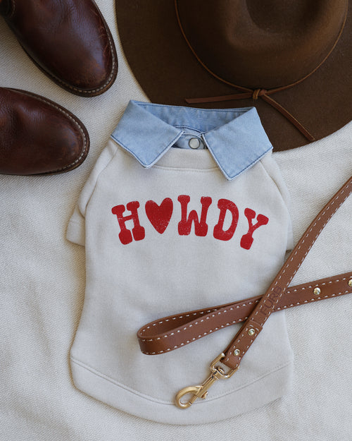 Howdy Pawtner Dog Sweatshirt beagle dog clothes