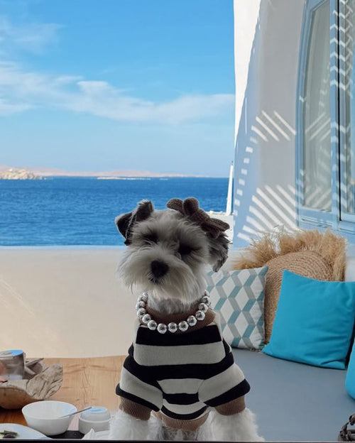 Cooper Black + White Striped Dog Sweatshirt
