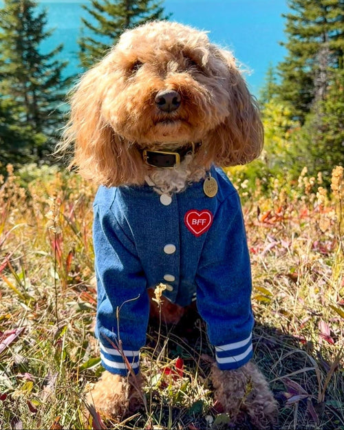 Best Friends Furever Denim Jacket