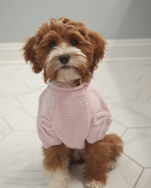 Lilah Pink Scalloped Detail Dog Sweater