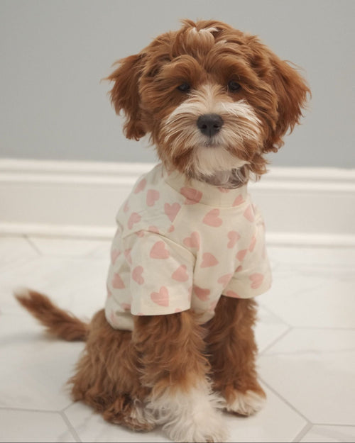 Lovey Dovey Heart Print Dog T-Shirt