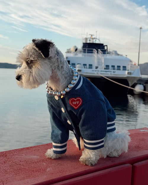 Best Friends Furever Denim Jacket
