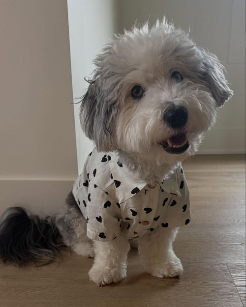 Puppy Love Heart Print Dog Shirt