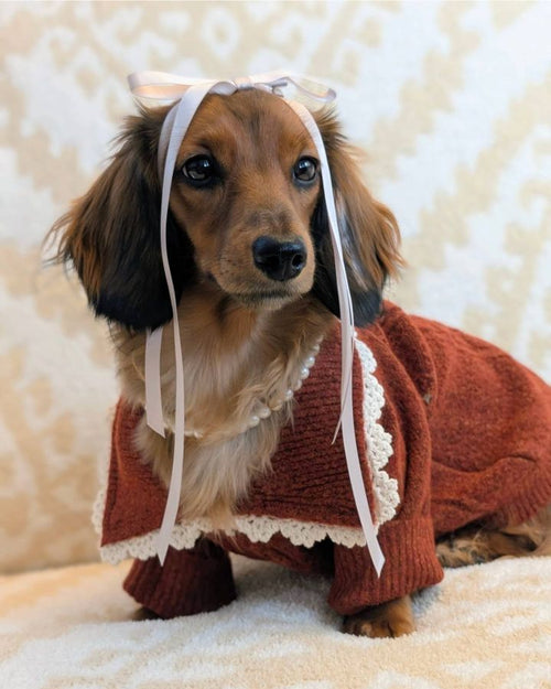 Tea Time Spice Cable Knit Dog Sweater