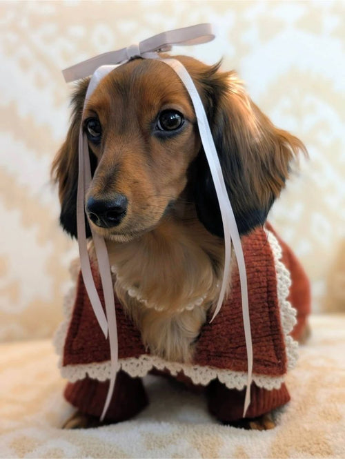 Tea Time Spice Cable Knit Dog Sweater