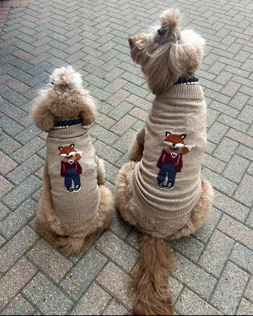 Foster the Fox Dog Sweater