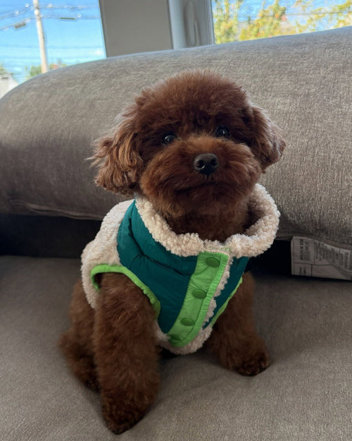 Cabin Critter Neon Green Sherpa Dog Vest