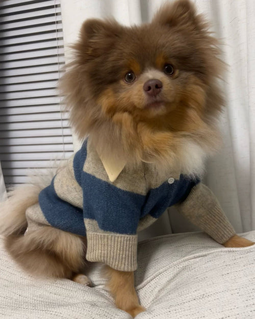 Prep School Pup Blue + Grey Striped Rugby Sweater