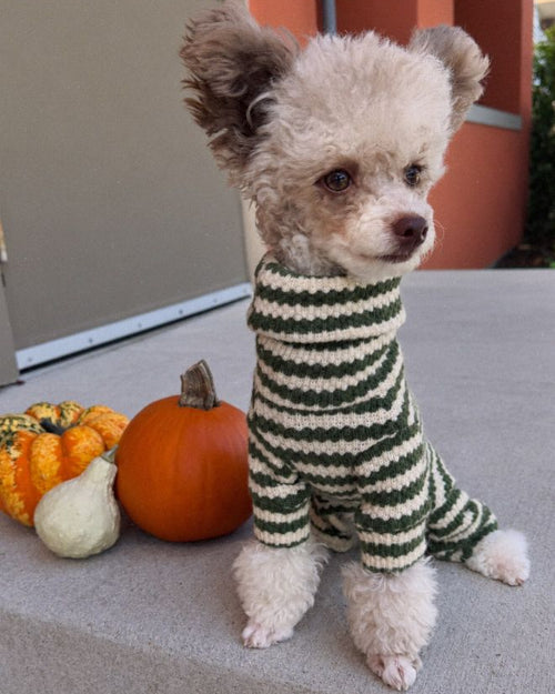 Charli Green + Ivory Dog Onesie