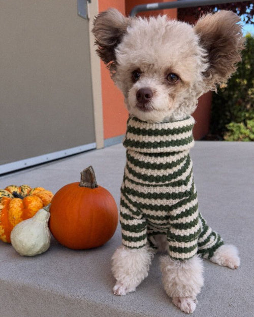 Charli Green + Ivory Dog Onesie