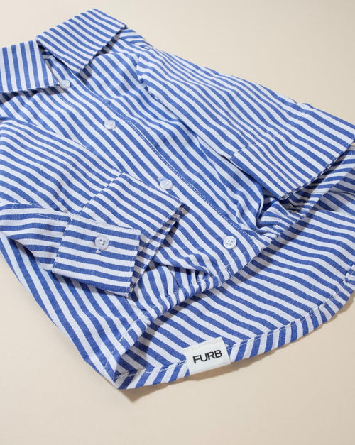 Button-up blue-striped dog shirt, perfect for a nautical look for your pup.