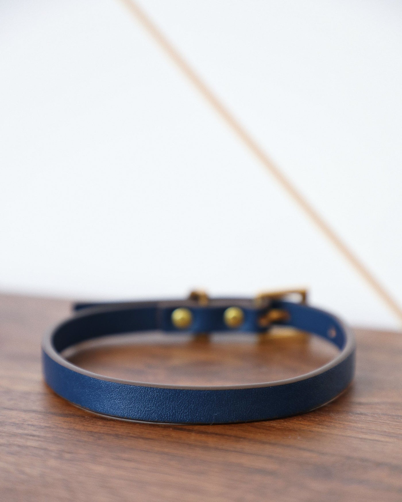 Cannon Navy Leather Dog Collar Close Up