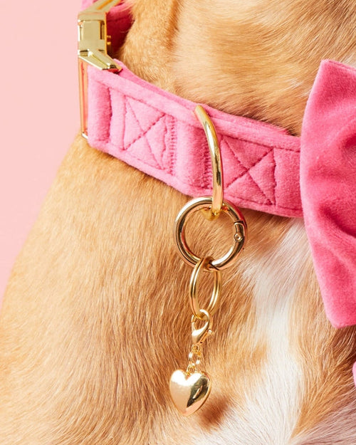 Gold Heart Collar Charm