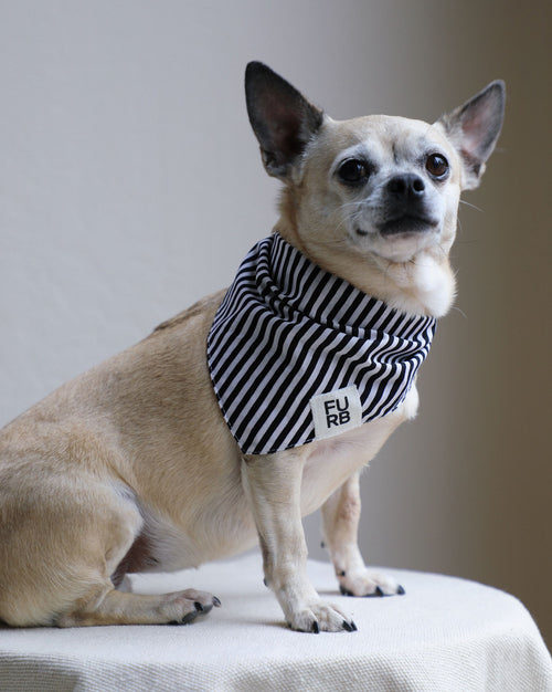 Captain Black + White Striped Bandana Product Image