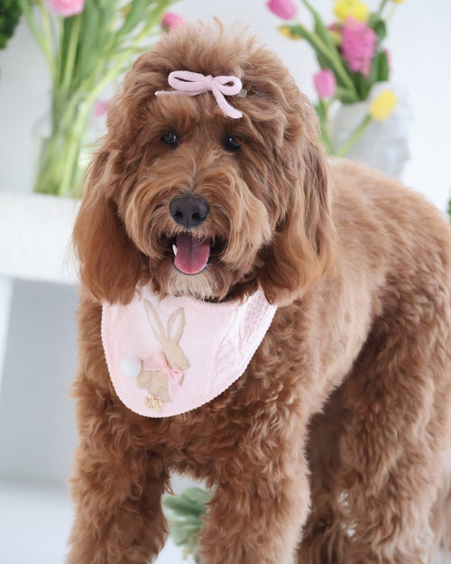 Sweetheart Dog Bow in Blush Pink