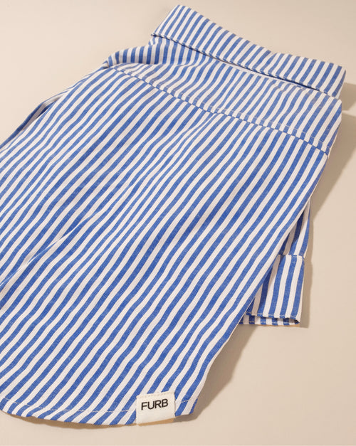 Blue and white striped dog shirt, great for casual and comfortable wear.