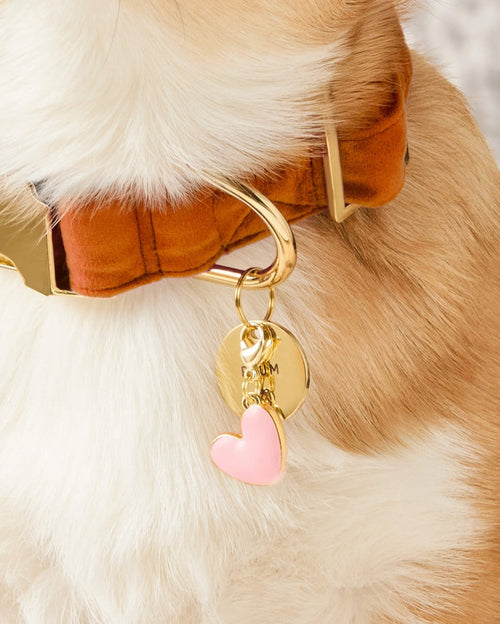 Pink Heart Collar Charm