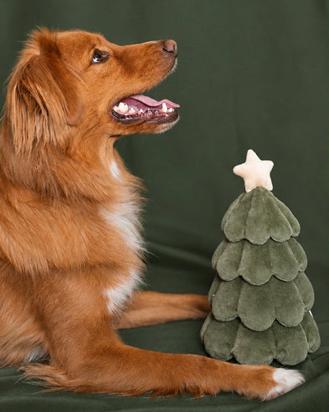 All Spruced Up Festive Tree Plush Dog Toy
