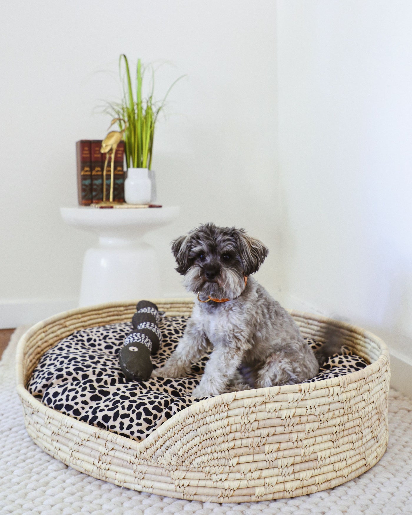 Mangrove Woven Palm Basket Bed