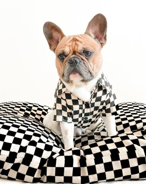 Ryder Black Check Dog Shirt Product Image Detail