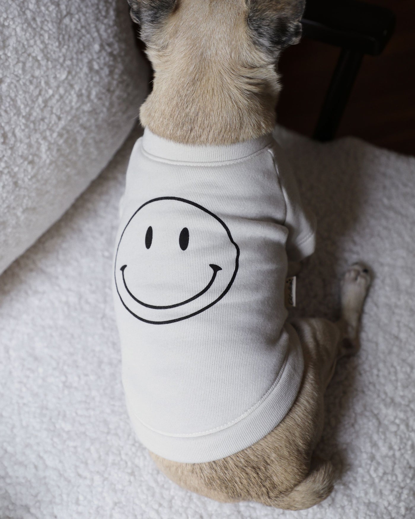 All Smiles Graphic Dog Sweatshirt