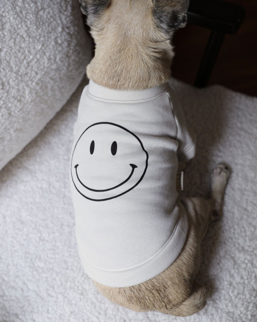All Smiles Graphic Dog Sweatshirt xs chihuahua coat