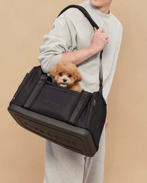 Sleek black pet carrier ideal for travel and city outings, offering comfort and security, perfect for dachshunds, cavapoos, and Boston terriers