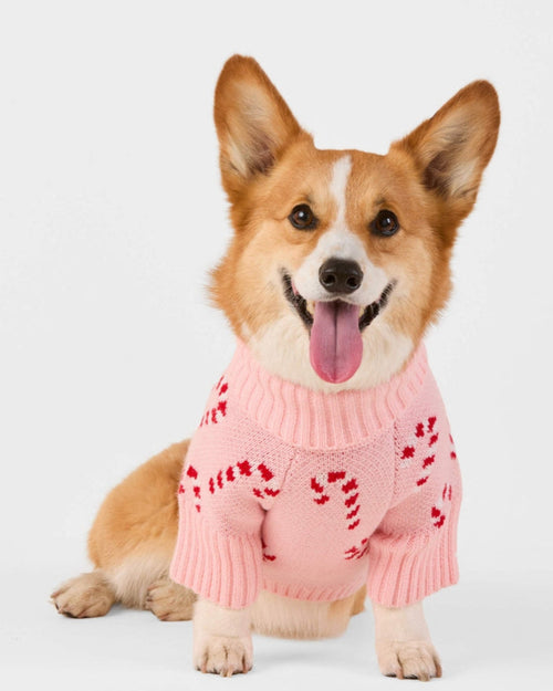 Candy Cutie Pink Knit Dog Sweater