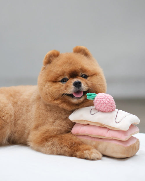 Berry On Top Snuffle Dog Toy