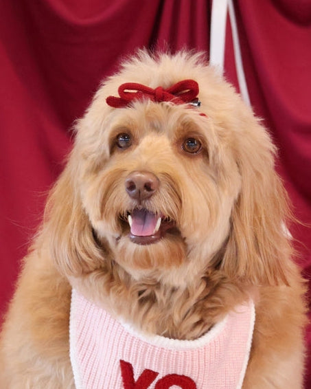 Sweetheart Hair Bow in Red