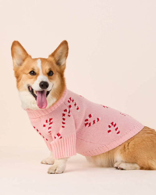 Candy Cutie Pink Knit Dog Sweater