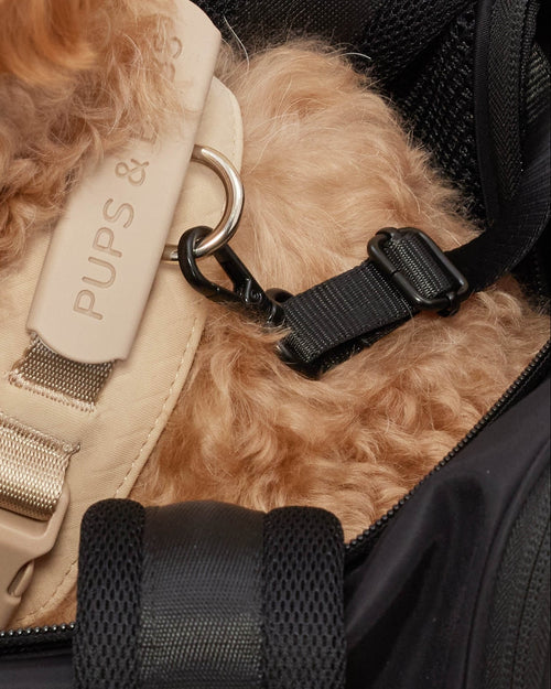 Comfortable dog carrier bag for travel and everyday outings, thoughtfully designed for small companions like pugs and cavaliers